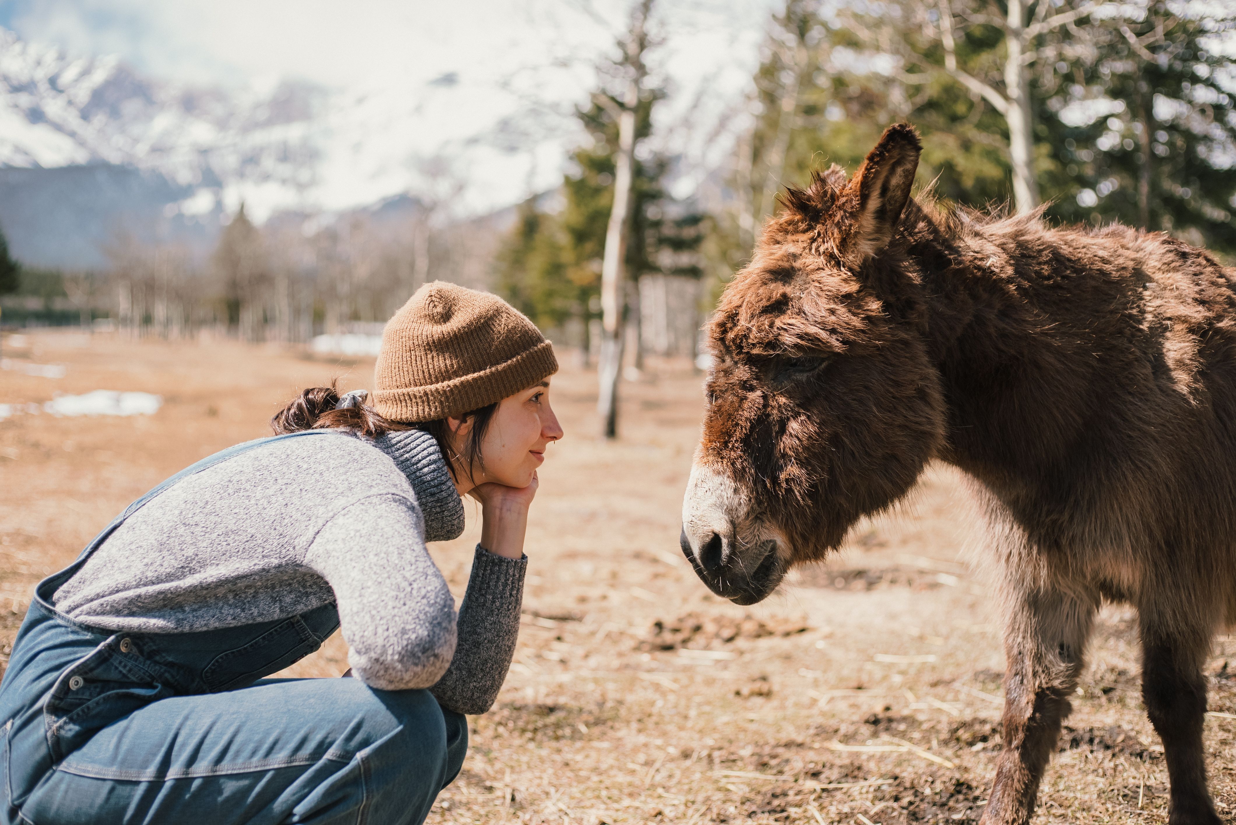 Dating a Ukrainian Zoologist: What to Expect image 1