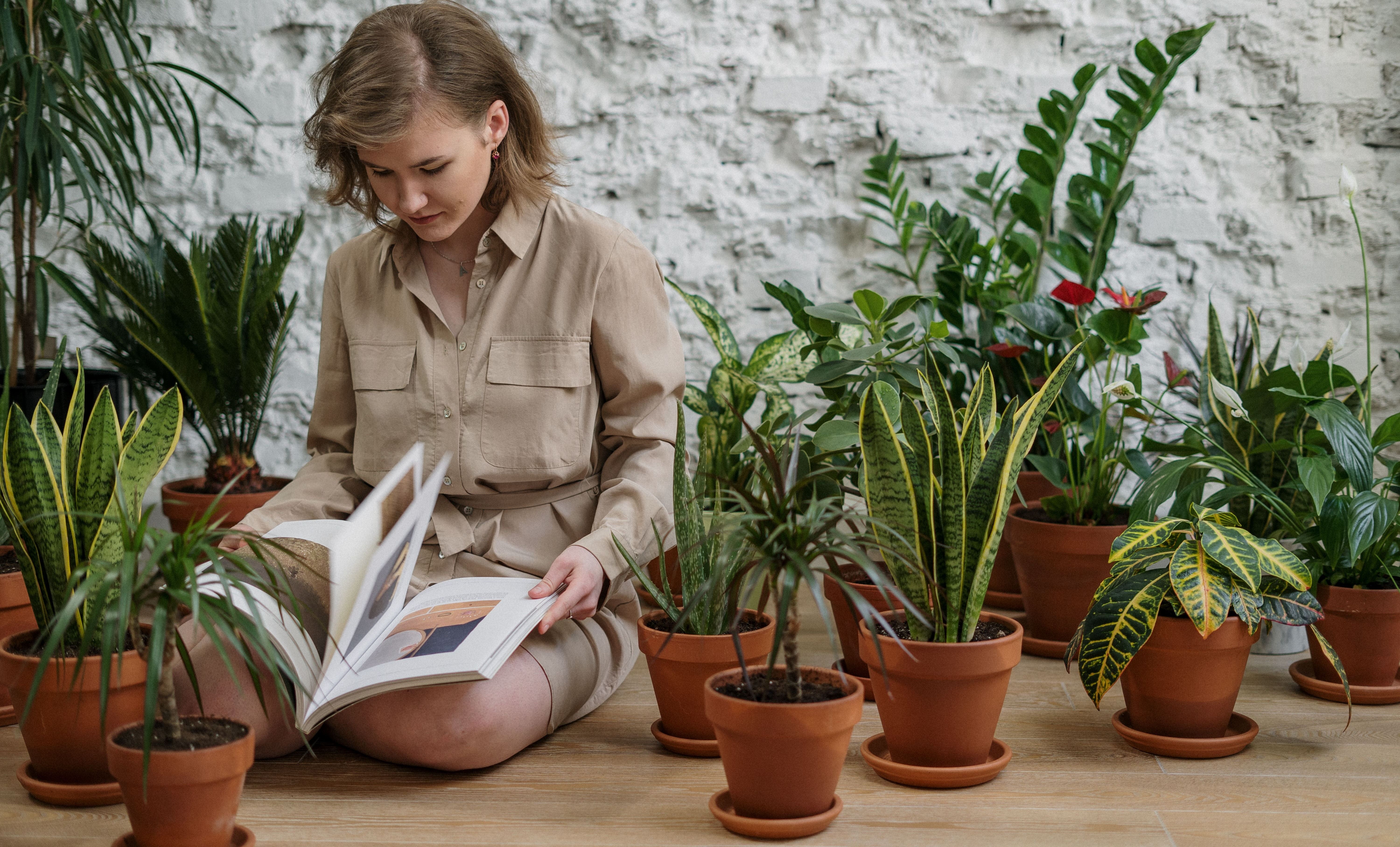 Dating a Ukrainian Woman Who Loves Houseplants image 0