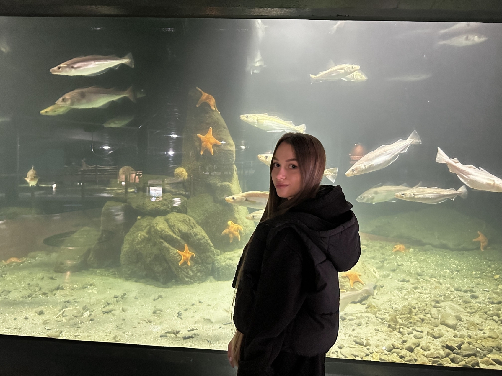 The Best Dating Sites & Apps for Serious Relationships in 2026: Your Complete Guide image 1