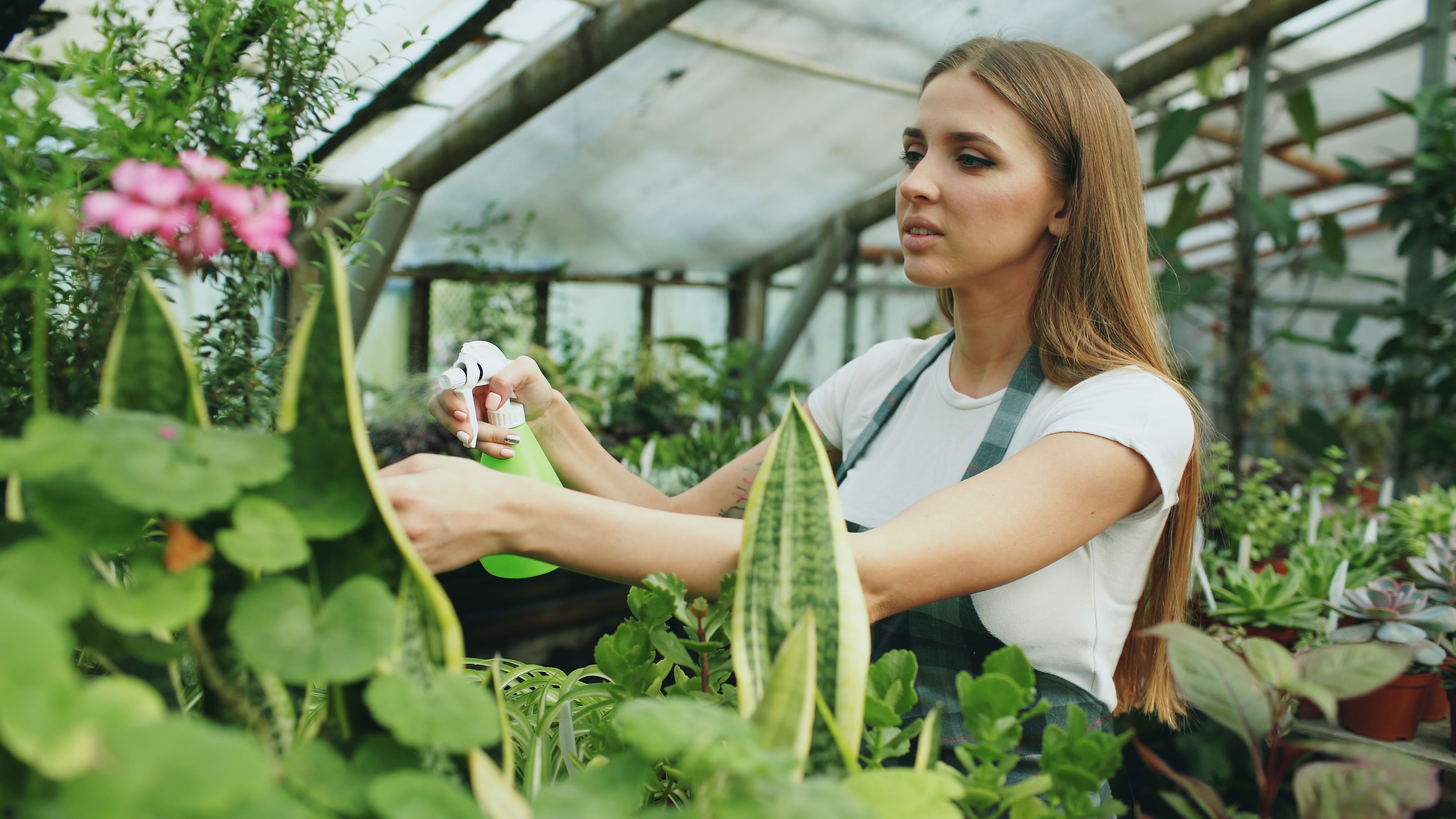 Dating a Ukrainian Woman Who Loves Gardening image 3