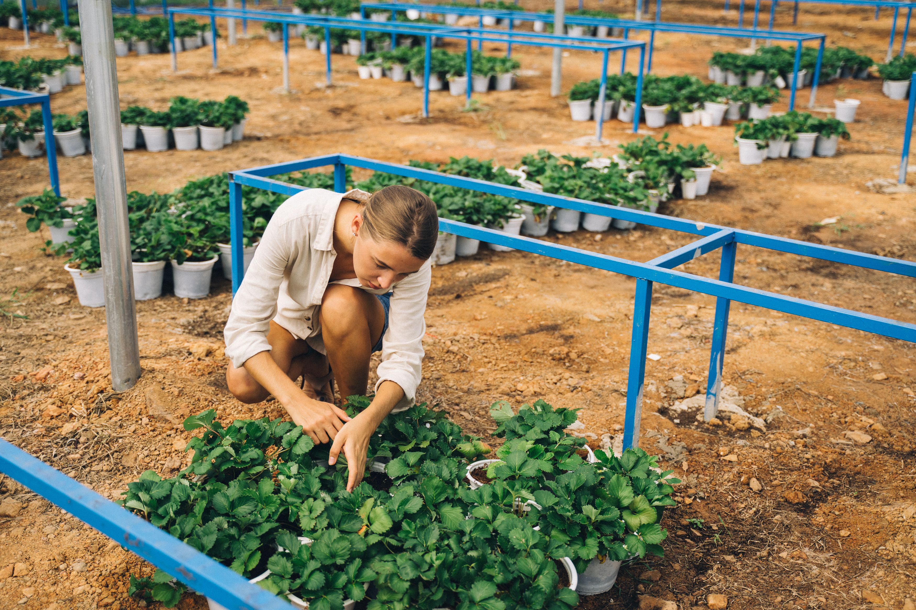 Dating a Ukrainian Farmer: What to Expect image 2