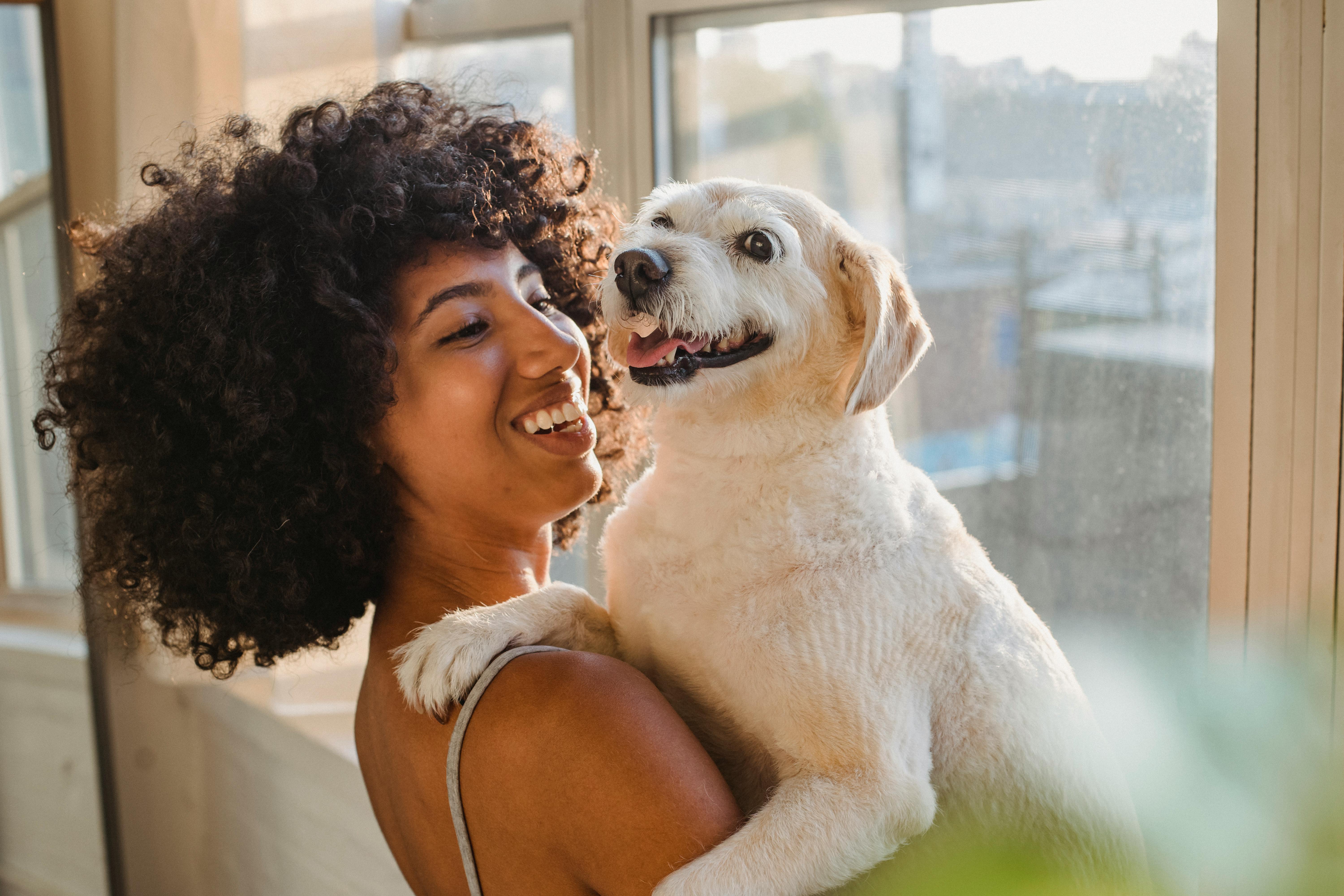 Pets & Partnerships: Introducing Your Dog to Your Slavic Bride image 0