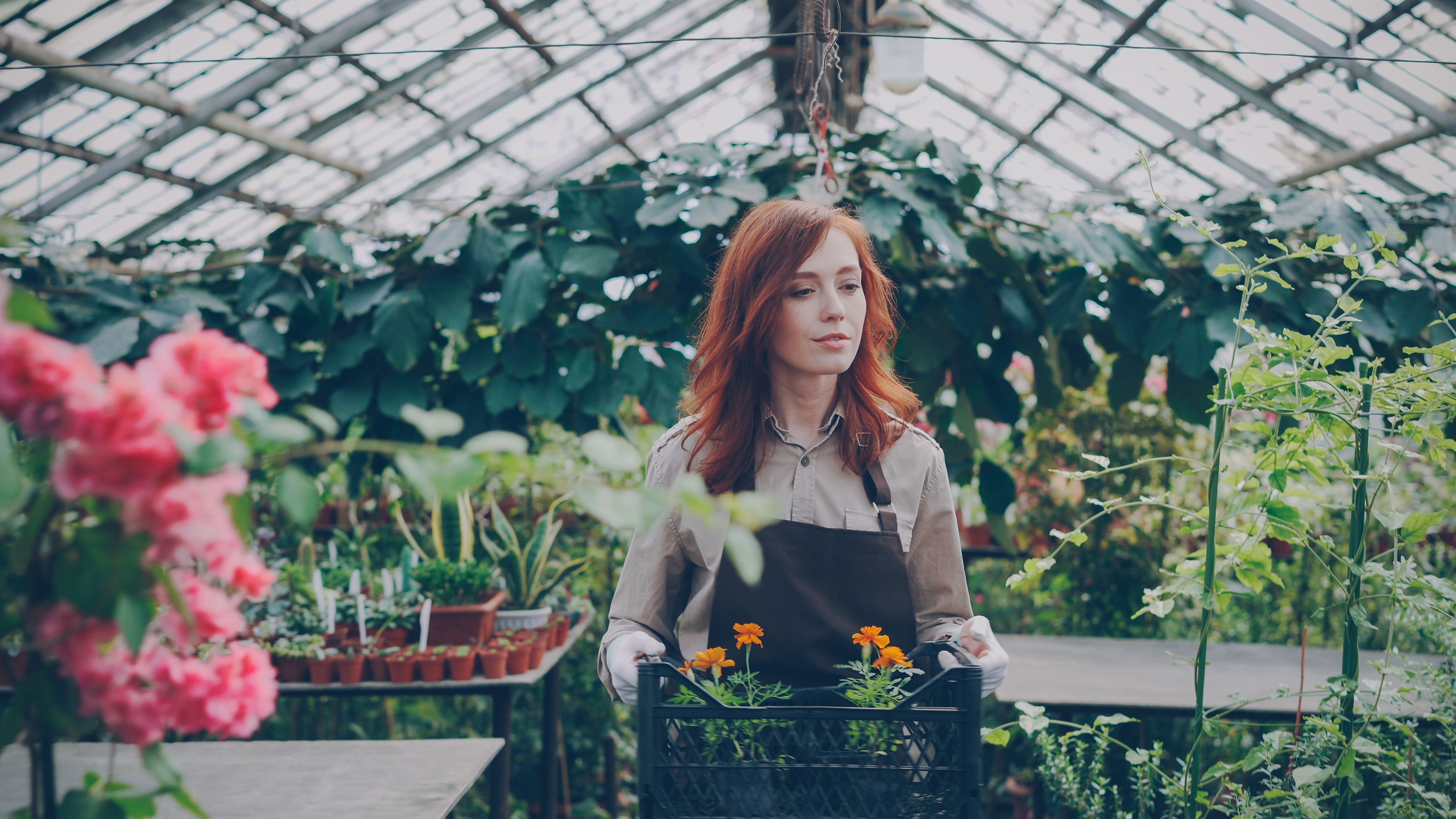 Dating an Environmentally Conscious Ukrainian Woman: What to Expect image 2
