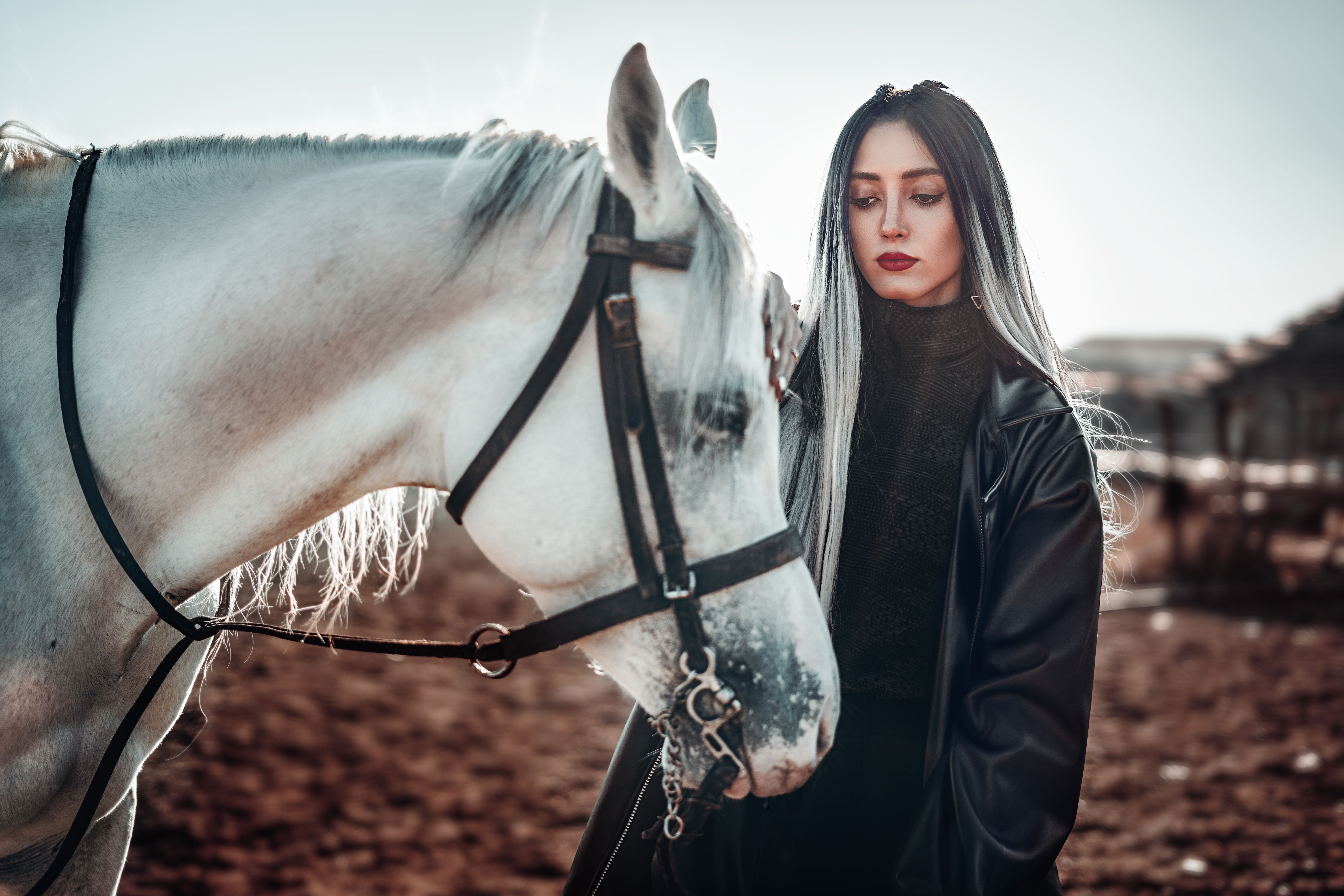 Dating a Ukrainian Woman Who Loves Horses image 0