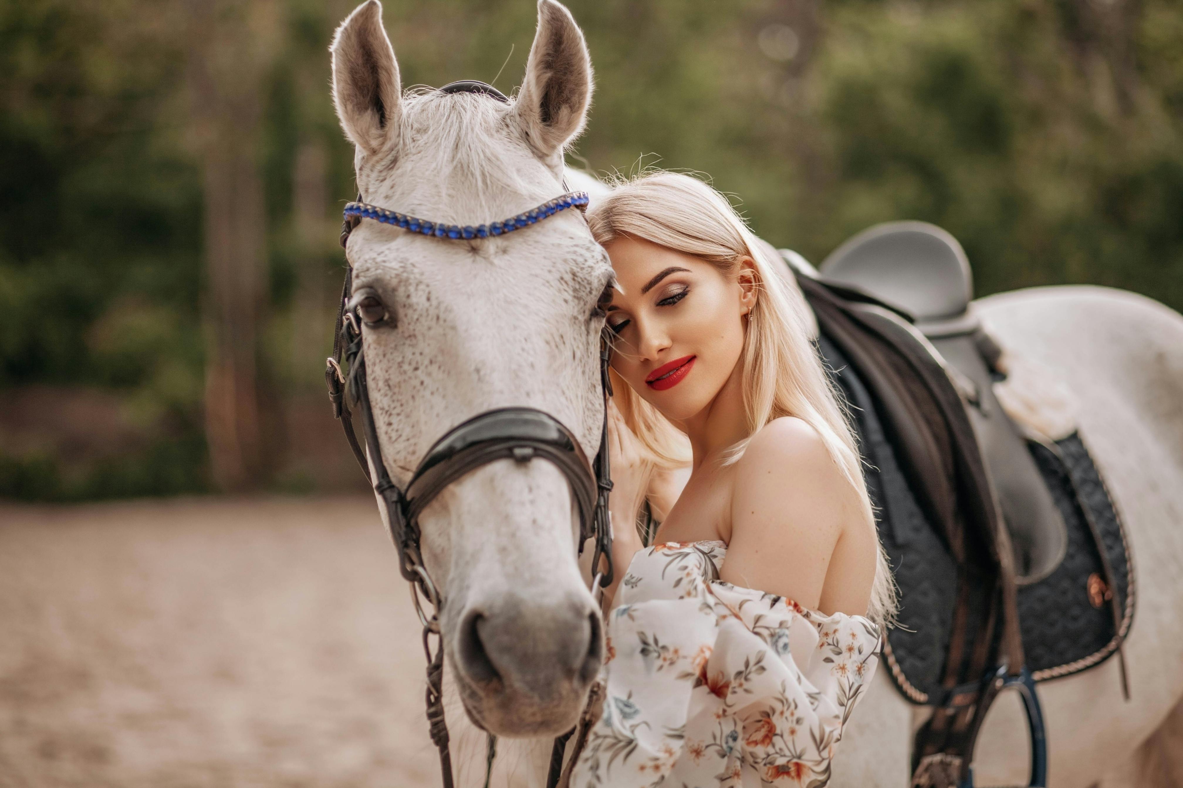 Communication in Relationships Across Different Cultures image 2