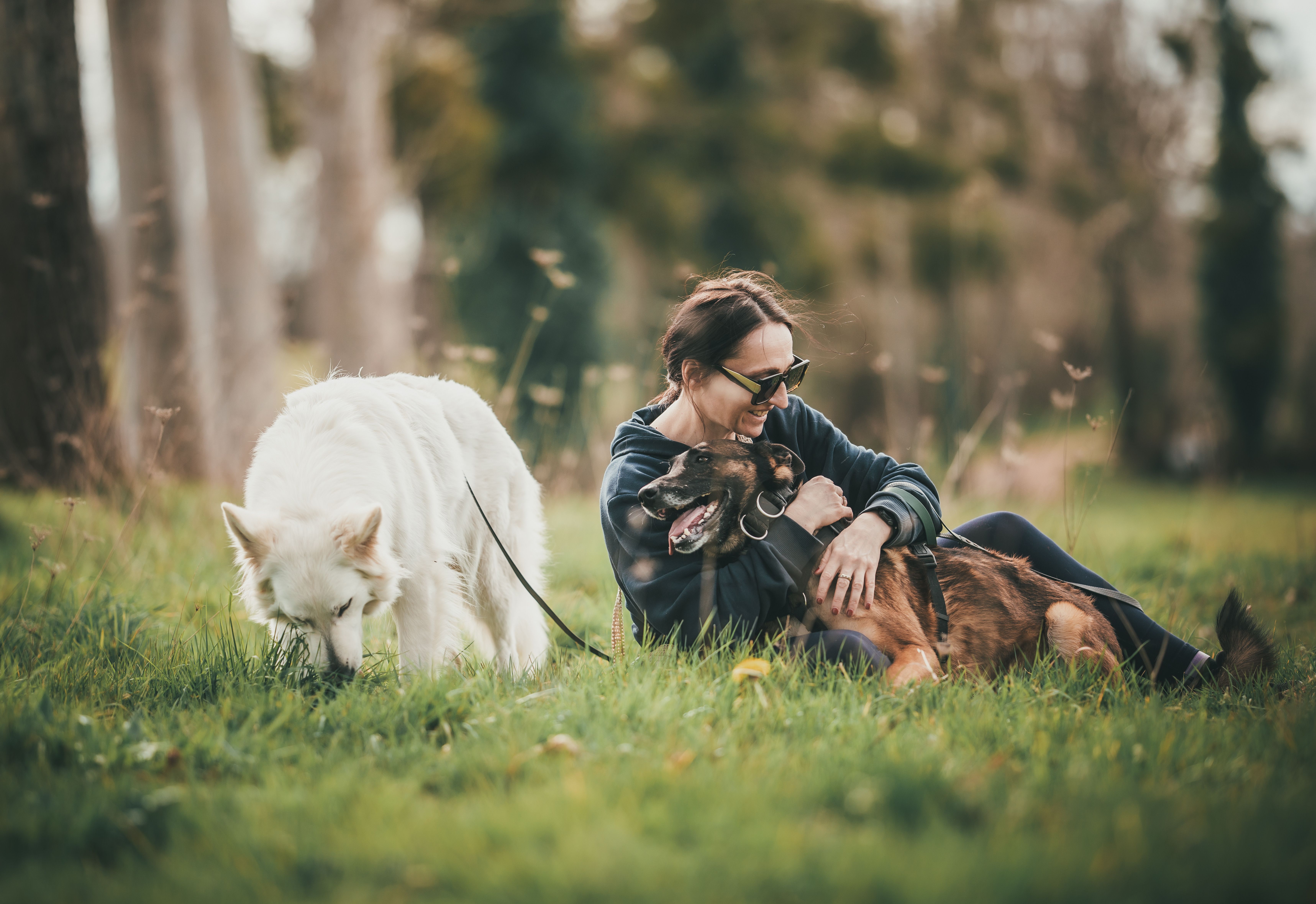 Dating a Ukrainian Woman Who Loves Dogs image 1