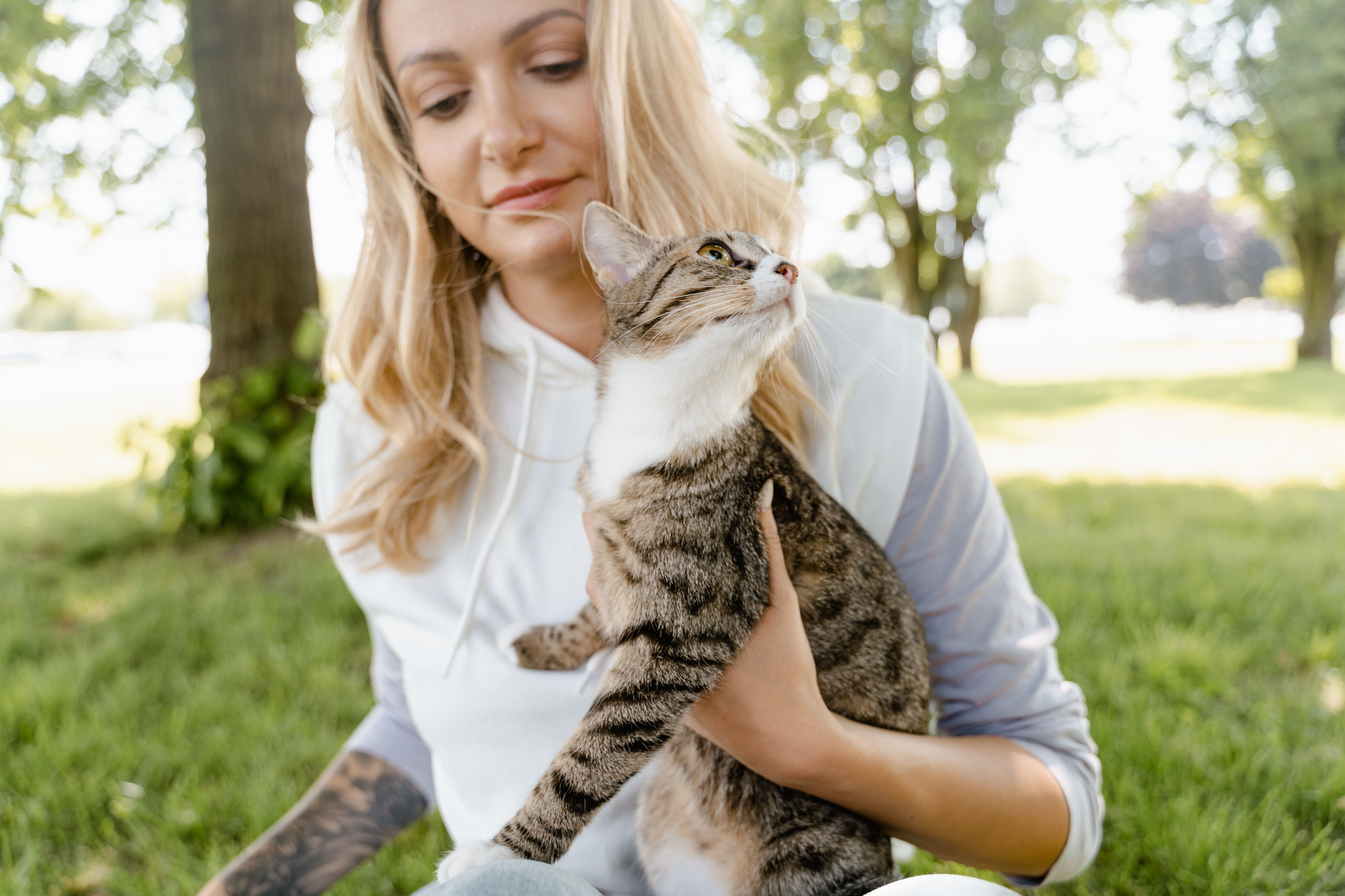 Dating a Ukrainian Woman Who Loves Cats image 2